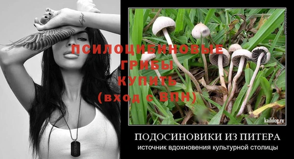 стафф Алексеевка