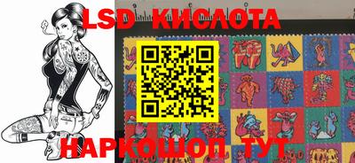 амф Гусев