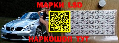 амф Гусев