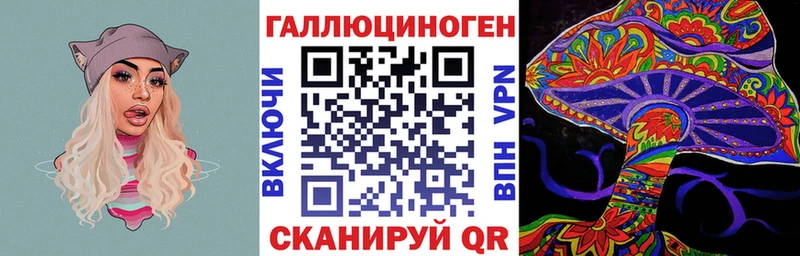 как найти наркотики Ленинск-Кузнецкий Псилоцибиновые грибы Cubensis