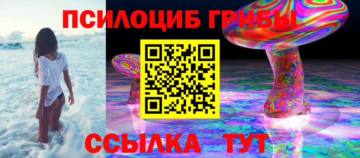Ленинск-Кузнецкий  Галлюциногенные грибы ЛСД  Вход с VPN 